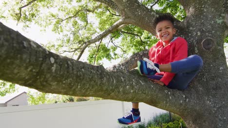 portrait of happy african american boy sitting on tree in garden