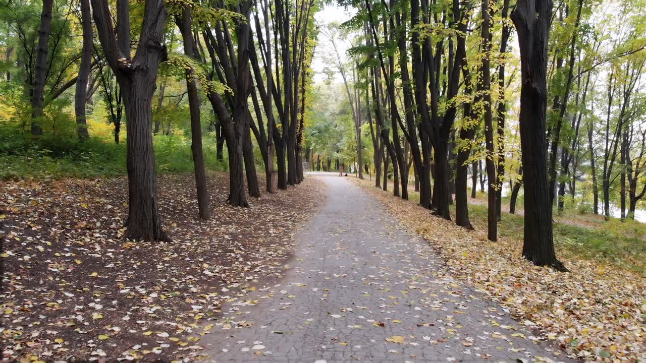 Autumn Walk in the Park