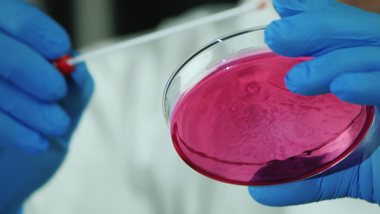 investigación microbiológica en un laboratorio 2