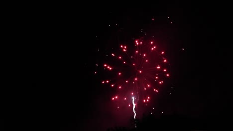 multiple fireworks going off in the dark sky