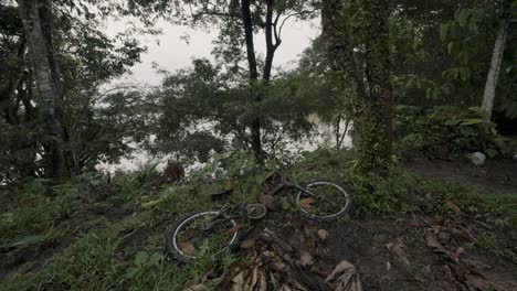 an old bicycle left in the forest, amazon rainforest in ecuador - wide