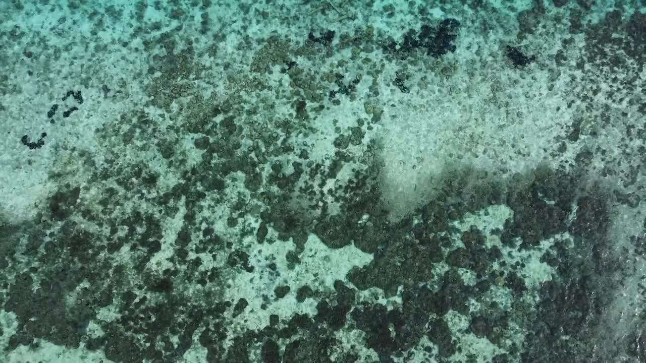 antena ascendente sobre yates privados estacionados en una isla de lujo