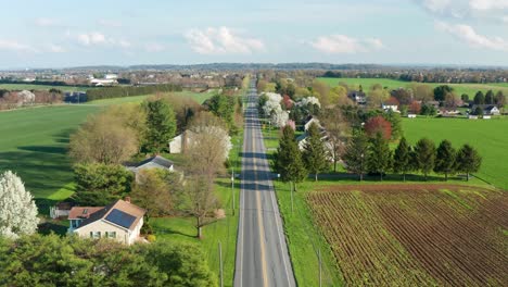 aerial pullback reveals green nature scene in spring