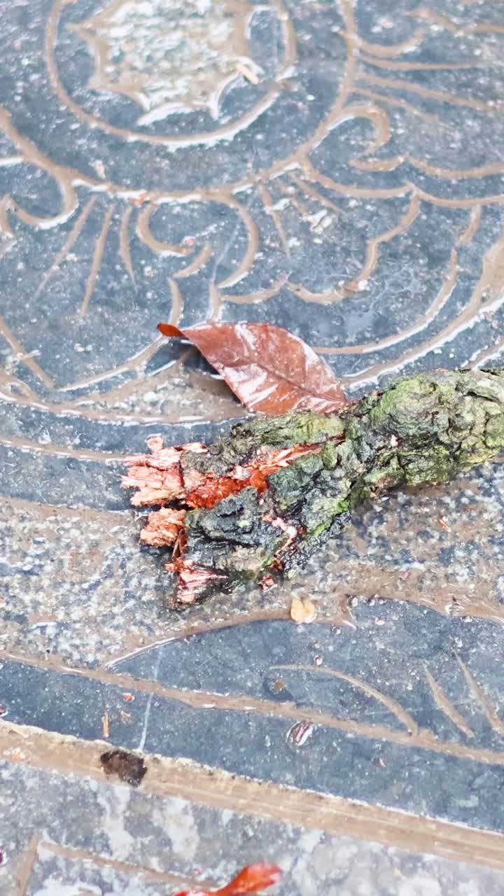 잎과 잔해가 장식된 사원 타일에