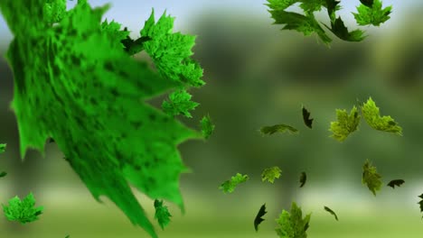 Animation-of-leaves-icons-over-blurred-background