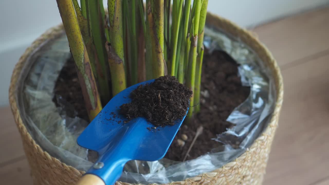 Planting and gardening