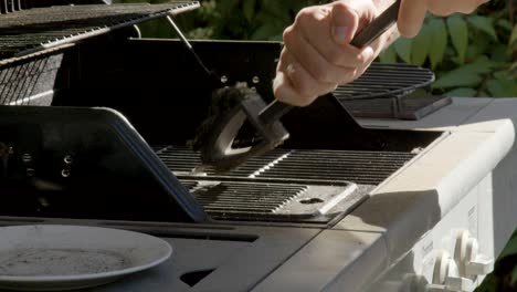 half speed cleaning bbq hot plate with garden and sun