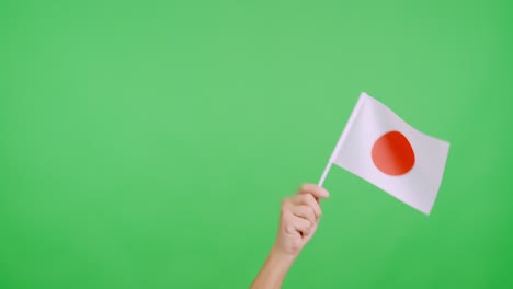 Hand waving a pennant of a japanese national flag
