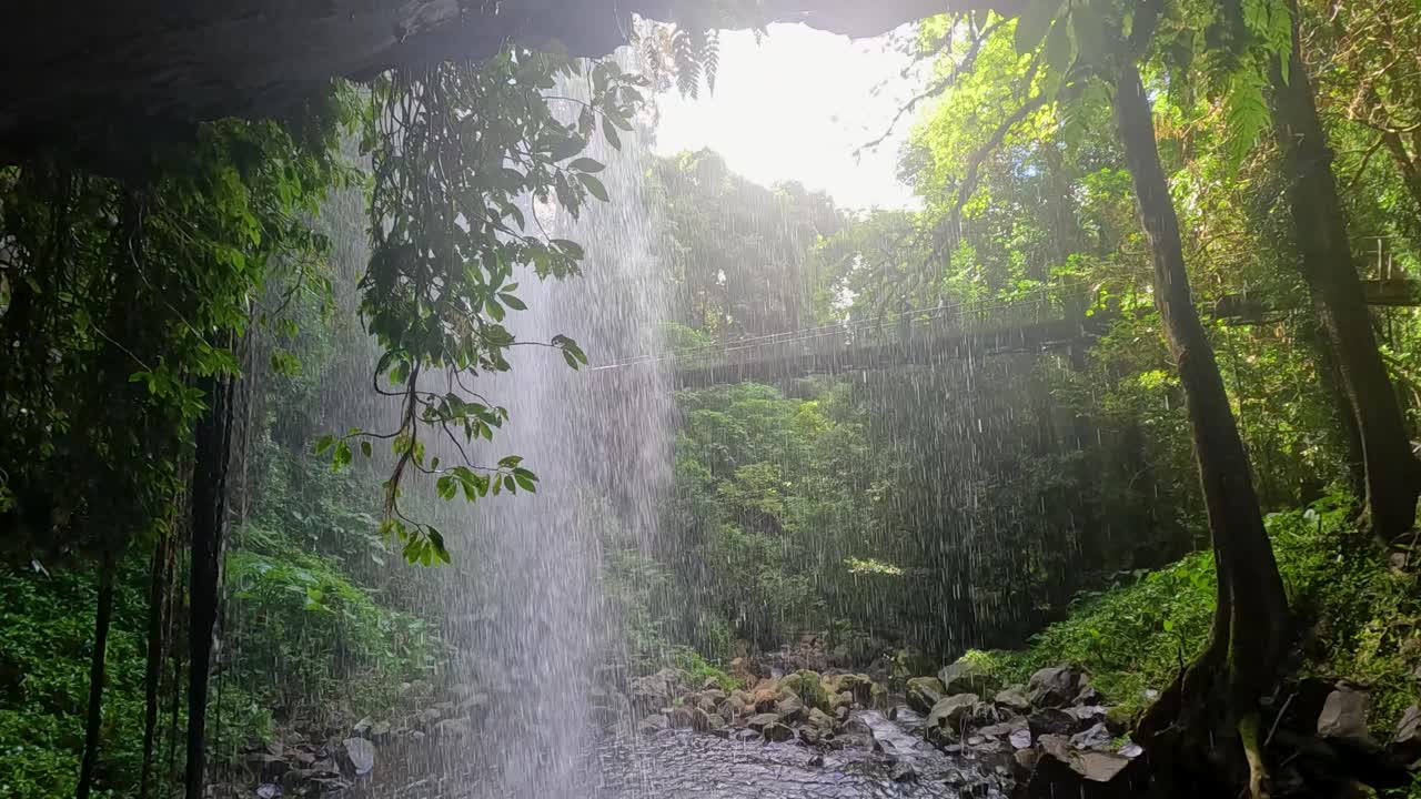 A tranquil waterfall cascades through lush greenery in Dorrigo National Park, captured with soft natural lighting and gentle camera movement