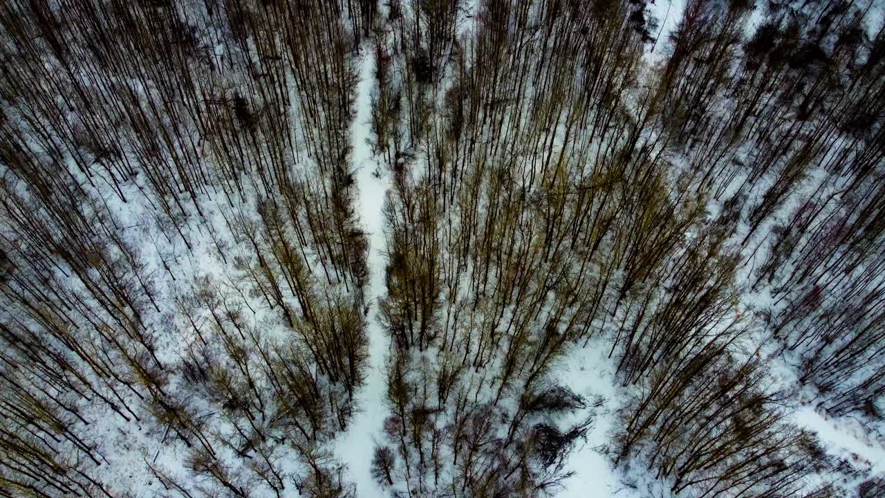 vista aérea de pájaros de invierno dolly rueda sobre un bosque denso camino cubierto de nieve con bolsillos de campings vacíos sobre una zona de acampada tranquila y vacía de la tierra de la corona donde la gente pasea tranquilamente en atv lado a lado 4-4