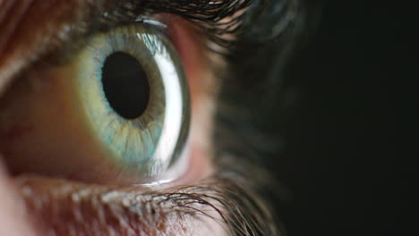 closeup of a blue eye, vision