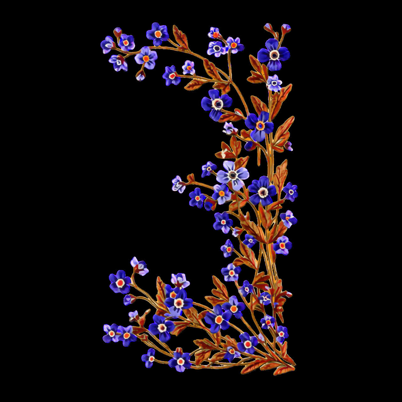 Floral letter design animation isolated asset, transparent 4K video, alpha channel, ProRes 4444