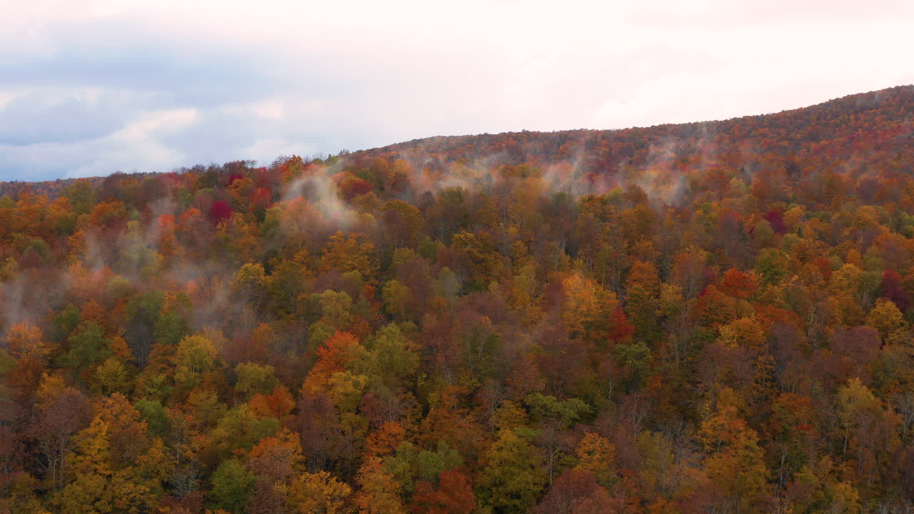 hermosos árboles de otoño rojos y naranjas vistos desde un dron de alto vuelo