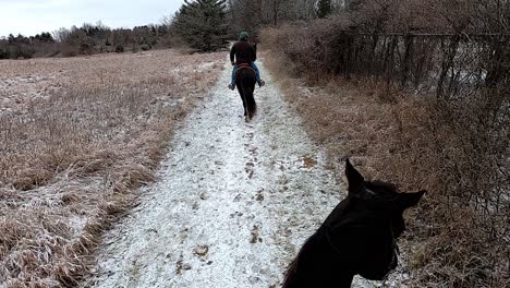 winter trail riding, maybury state park, michigan, usa