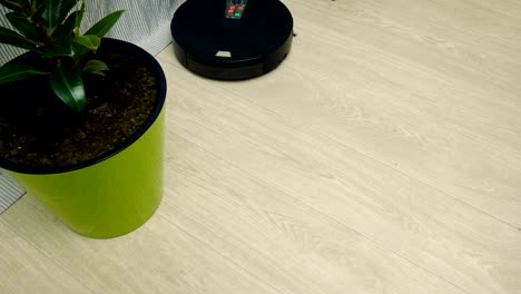 vista superior de un aspirador robótico limpiando el piso cerca de la olla de flores. 4k