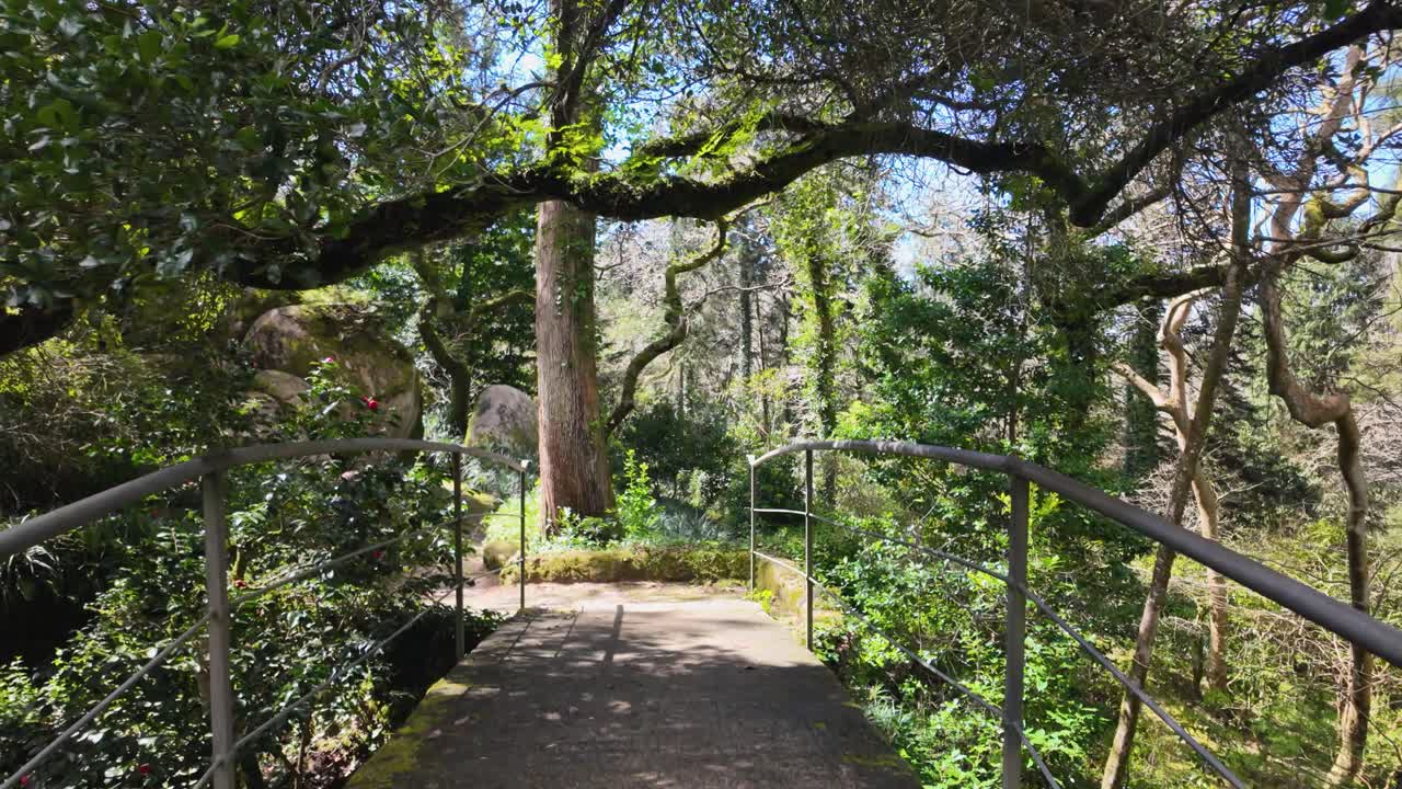Slowmotion view of bridge in park near Pena Palace