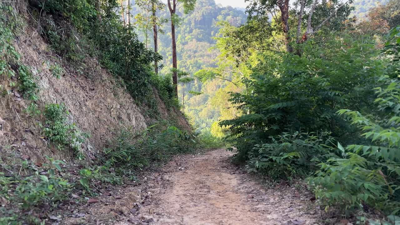 Vista en primera persona caminando por un sendero de tierra en el bosque en Din Daeng Doi, Krabi, Tailandia, con vegetación exuberante, terreno de ladera y una tranquila experiencia de senderismo tropical al aire libre.