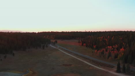 countryside-empty-road-into-a-wild-autumnal-forest-at-sunset-hour