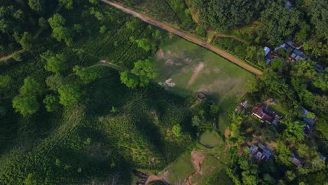 khadimnagar tribal village, aerial hilly tea garden