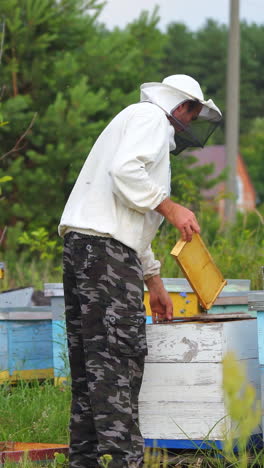 beekeeper putting new frames into hives. male apiculturist working near wooden beehives in the countryside in a bright summer day. vertical video