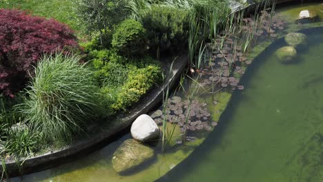 beautiful garden with a pond and lush greenery