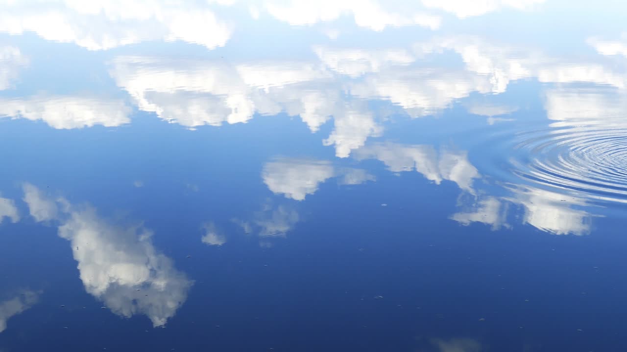 물의 표면을 따라 흐르는 원