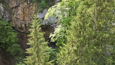 Dense-forest-and-rocky-cliffs-surrounding-a-hidden-waterfall-in-Fätschbach,-Glarus-Süd,-Switzerland