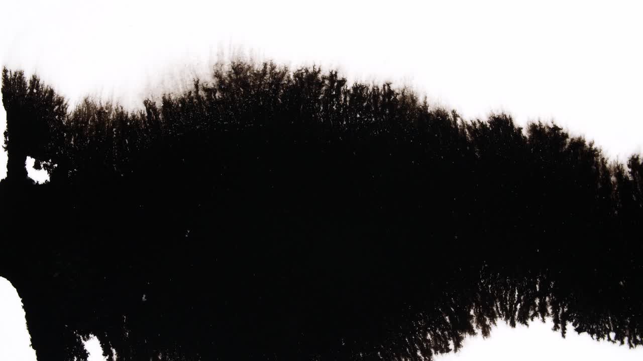 Black Ink Drops On White Background