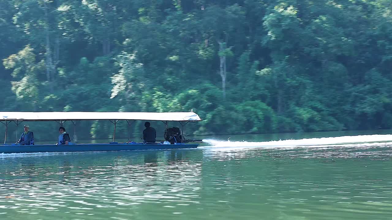 A long boat travels smoothly across calm waters, passing by dense, green forested banks.