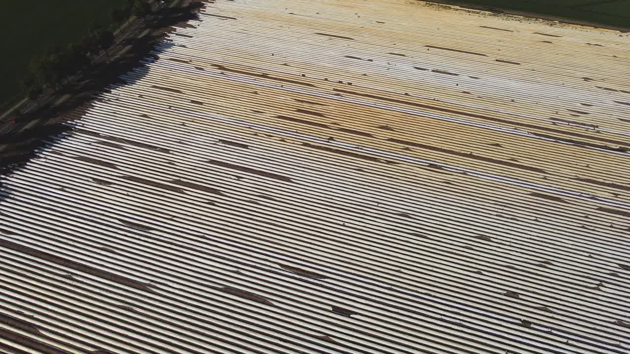 una foto de un dron de un gran campo de espárragos en los países bajos creando interesantes líneas simétricas