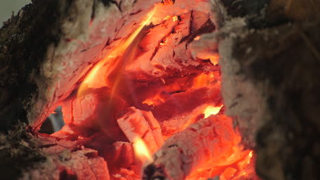 glowing embers and flames within a charred wood log, exhibiting the natural process of combustion