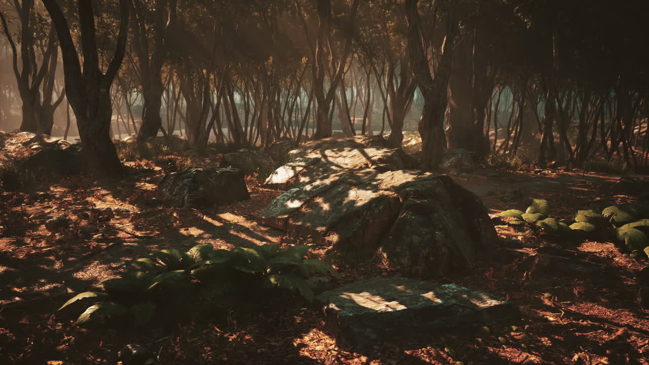 bosque encantado en luz mágica