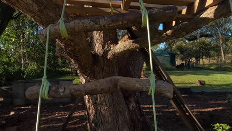 pov up rope ladder to basic diy wooden