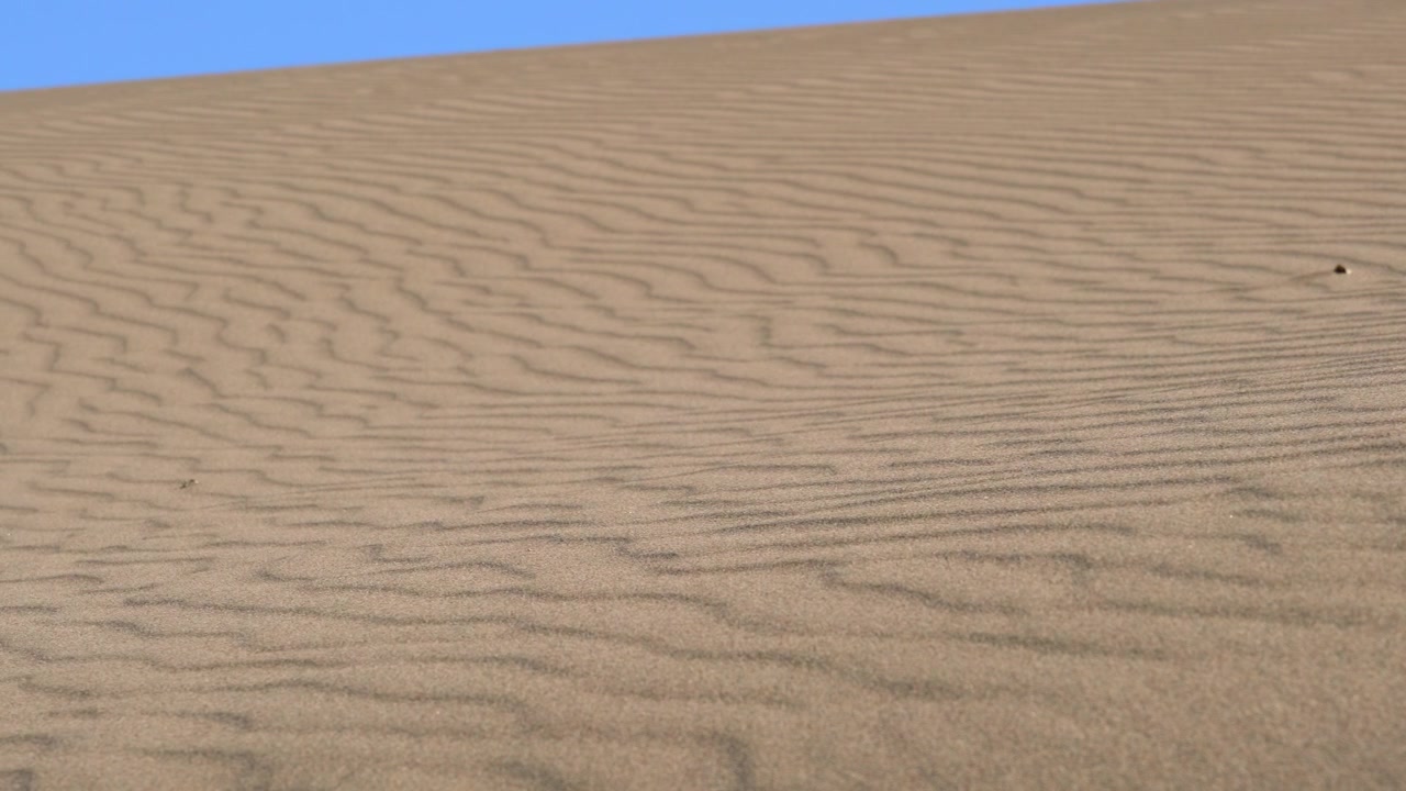 Dune di sabbia ondulate sotto un cielo azzurro sereno