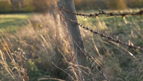 Barbed-wire-and-wooden-fence-in-farmland-wide-tilting-shot