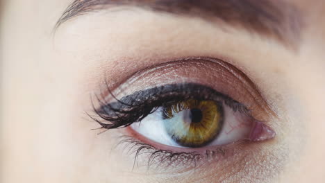 primer plano de un ojo gris femenino contra un fondo gris