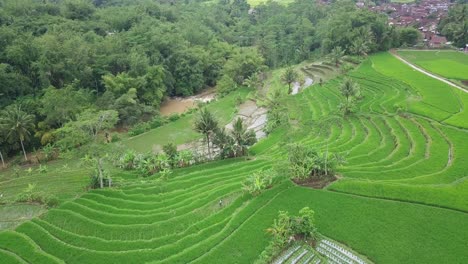 Vista-De-Drones-Del-Hermoso-Paisaje-Rural-De-Indonesia