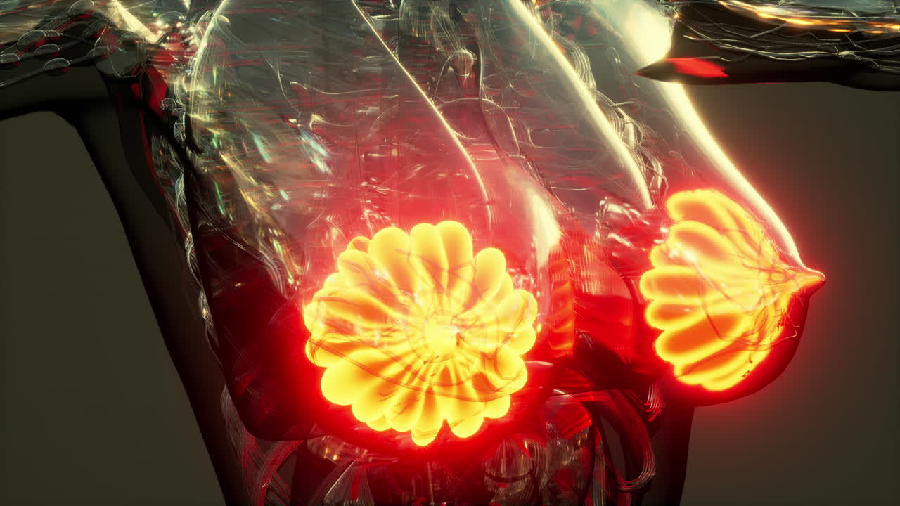 빛나는 유방선과 함께 인간 몸의 과학 해부학