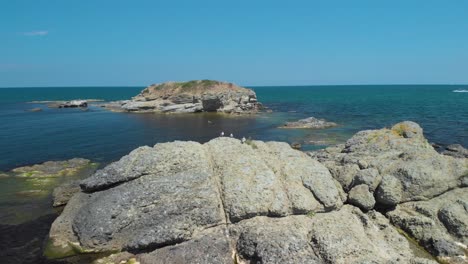 Gaviotas-En-Una-Roca-Marina-En-Tiro-De-Arco-Panorámico-Aéreo---Lozenets,-Bulgaria