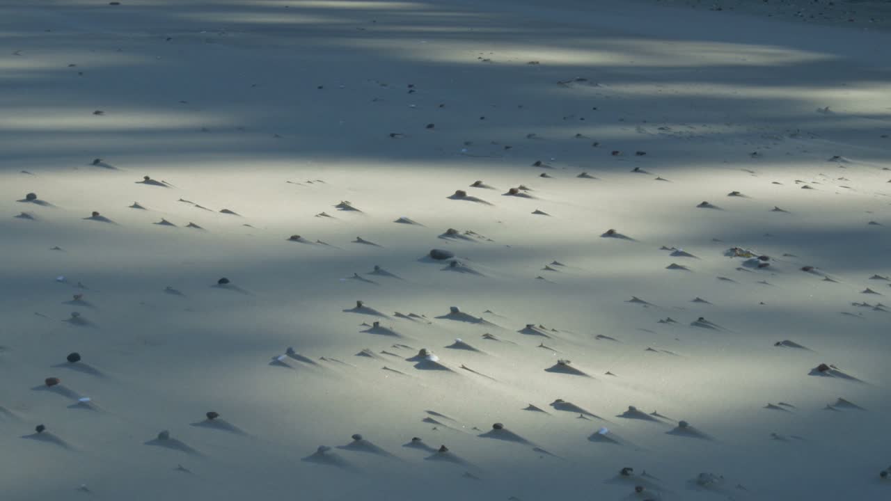 Stones in the White Sand of the Seaside Beach. Handheld Footage