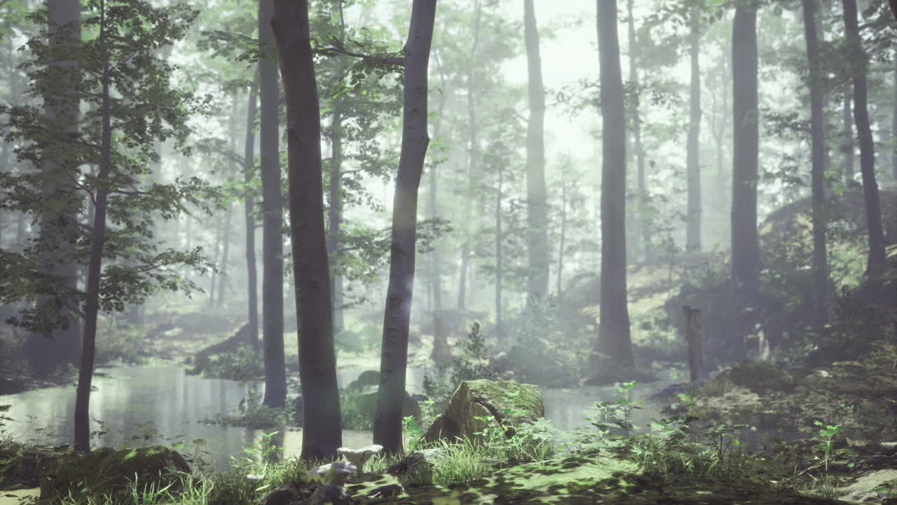 Serene forest landscape with mist and calm water near lush greenery