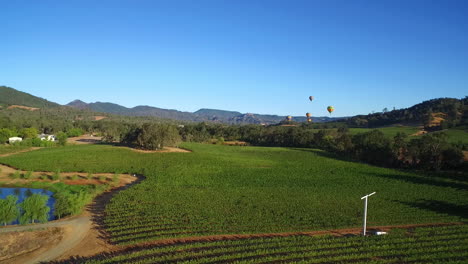 una antena baja sobre filas de viñedos en el condado de sonoma del norte de california con globos aerostáticos en la distancia