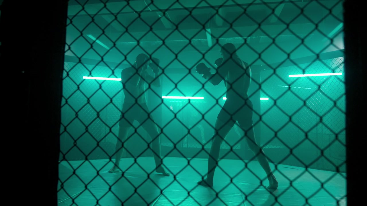 Dramatic Silhouette of Two Fighters in a Boxing Cage with Green Lighting