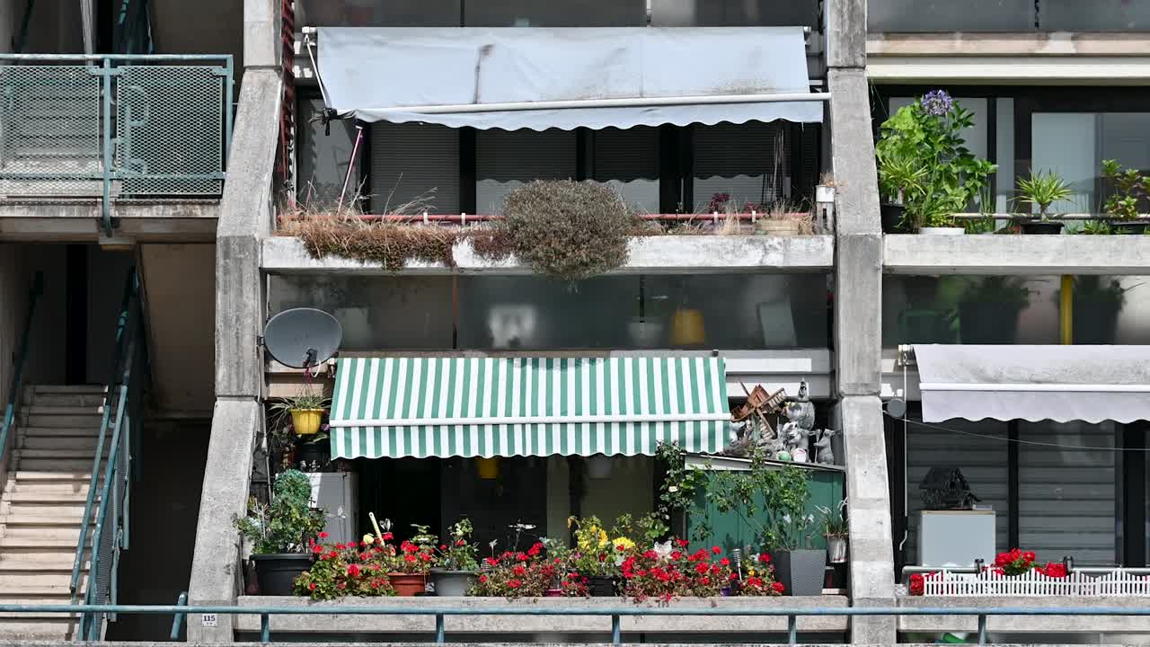 런던의 알렉산드라 로드 파크 (alexandra road park) 에 있는 정원에서 꽃이 피고 있다.