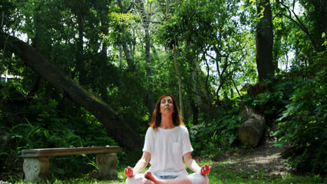 mature woman performing yoga in the park 4k