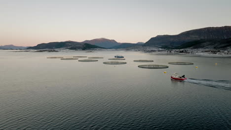 drone dolly hacia el barco que llega a los corrales de salmón de la piscifactoría, noruega