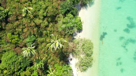 tropical beach background