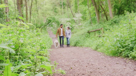 Dolly-Aufnahme-Des-Fokus-Auf-Ein-Junges-Paar,-Das-Sich-An-Den-Händen-Hält-Und-Mit-Einem-Golden-Retriever-Hund-An-Der-Leine-Den-Weg-Durch-Bäume-Auf-Dem-Land-Entlang-Geht-–-Aufnahme-In-Zeitlupe