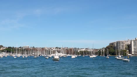boats gently bob in the water in a harbour in sydney, australia