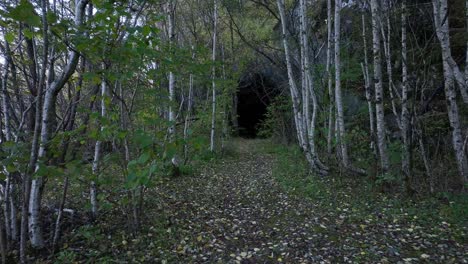 Naturaleza-Recuperando-El-Ferrocarril-Fuera-De-Servicio-De-Bergen-En-Rodberg,-Noruega